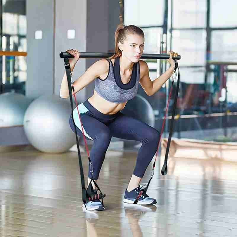 Portable Home Gym Workout Equipment Perfect Stretched Fusion Exercise Bar And Bands - GoVital Co.