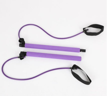 Chest Expander Puller - GoVital Co.