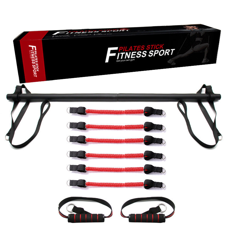 Portable Home Gym Workout Equipment Perfect Stretched Fusion Exercise Bar And Bands - GoVital Co.