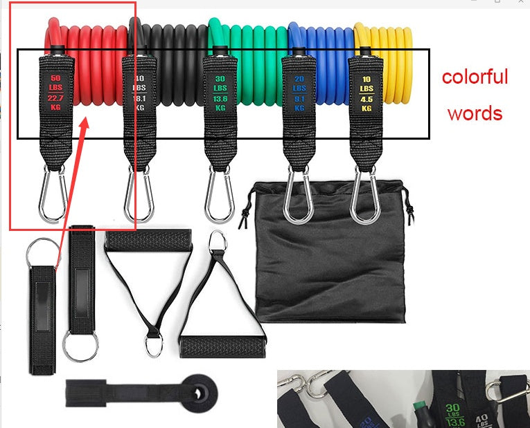 Fitness Rally Elastic Rope Resistance Band - GoVital Co.